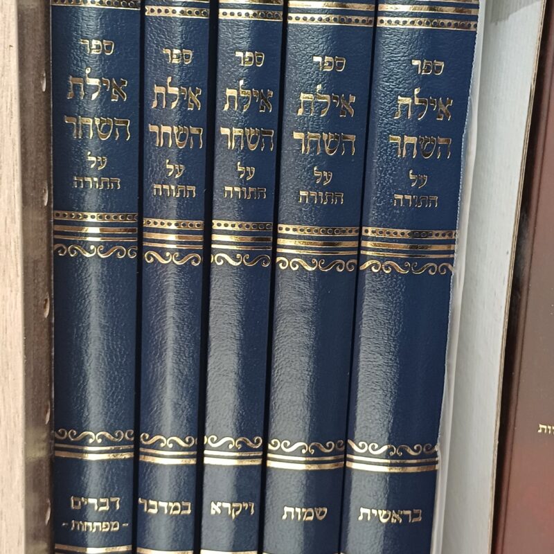 איילת השחר